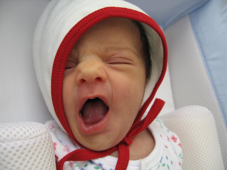 gal/Birth/IMG_1516_768.JPG