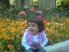 Saba Saboohi