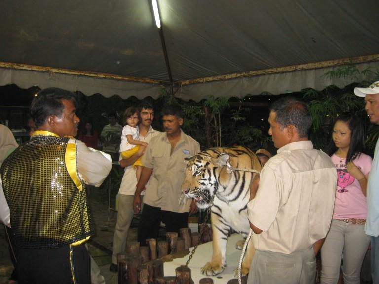 gal/Malaysia/2009/Saba_2230_768.jpg